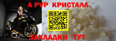 крисы Гагарин