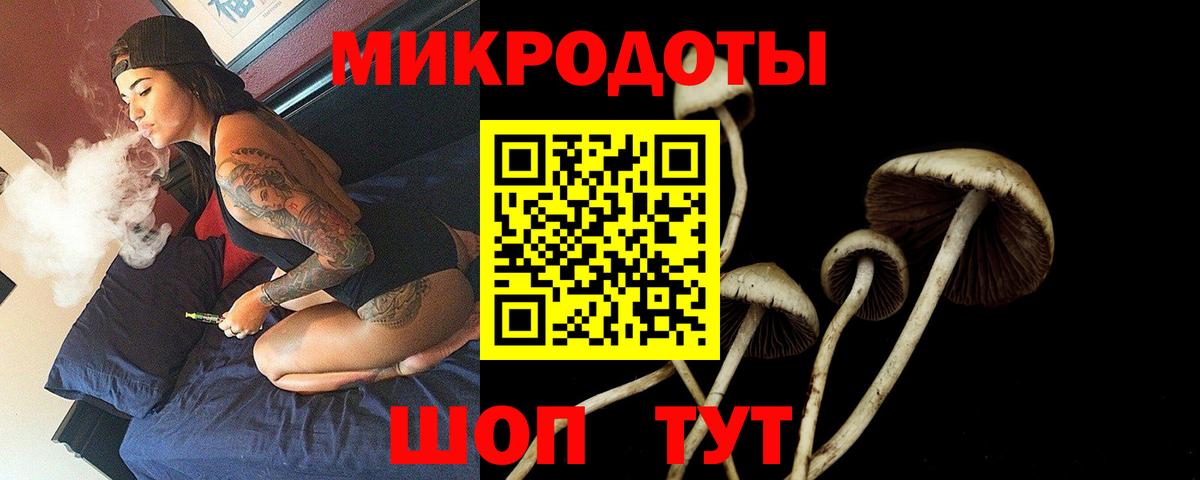 Псилоцибиновые грибы MAGIC MUSHROOMS Муравленко