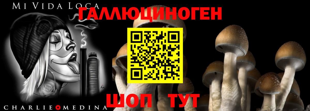 Галлюциногенные грибы прущие грибы  Вход с VPN  Муравленко 